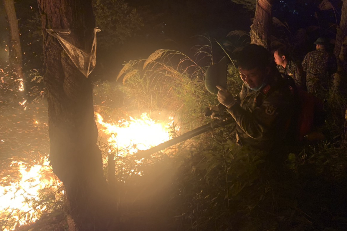 Dập tắt đám cháy rừng tại TP Hạ Long, tỉnh Quảng Ninh